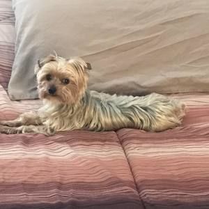 Meet your Posher, Jana